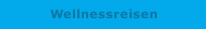 Wellnessreisen